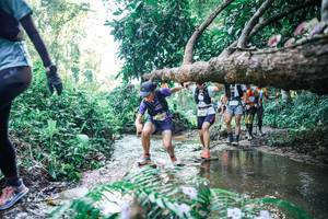 BIB: 
                            <button type="button" onclick="openModal(25442592)" class="btn btn-primary btn-sm float-right btn-popup" data-toggle="modal" data-target=".modal-high-quality">
                        <i class="fas fa-shopping-cart"></i> Add to Cart
                    </button>
                                            <button type="button" onclick="isThisMe(25442592, true)" class="btn btn-success btn-sm float-right btn-popup btn-isme hidden" data-toggle="tooltip" data-placement="bottom" title="นี่คือรูปของคุณใช่ไหม คลิกที่นี่เพื่อเอาเข้าอัลบั้ม">
                        <i class="fas fa-plus"></i> Add to album
                    </button>
                    <button type="button" onclick="isThisMe(25442592, false)" class="btn btn-warning btn-sm float-right btn-popup btn-isnotme hidden">
                        <i class="fas fa-ban"></i> Remove from album
                    </button>